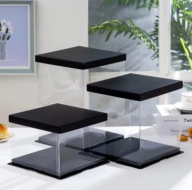 Lot de 10 boites transparentes