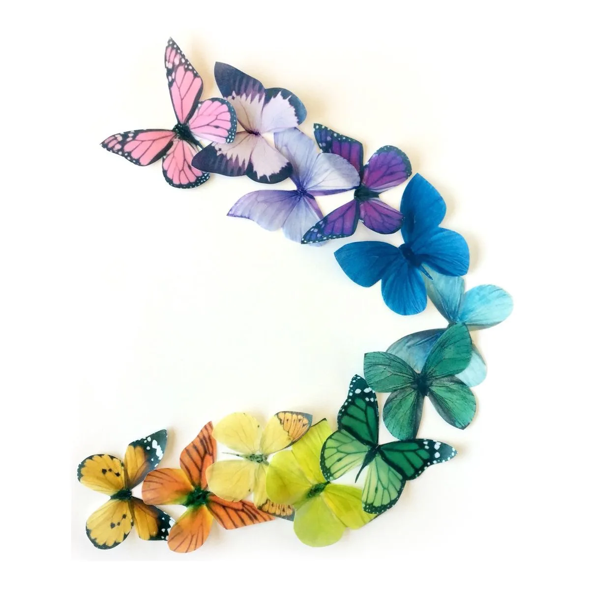 Lot de 20 papillons comestibles