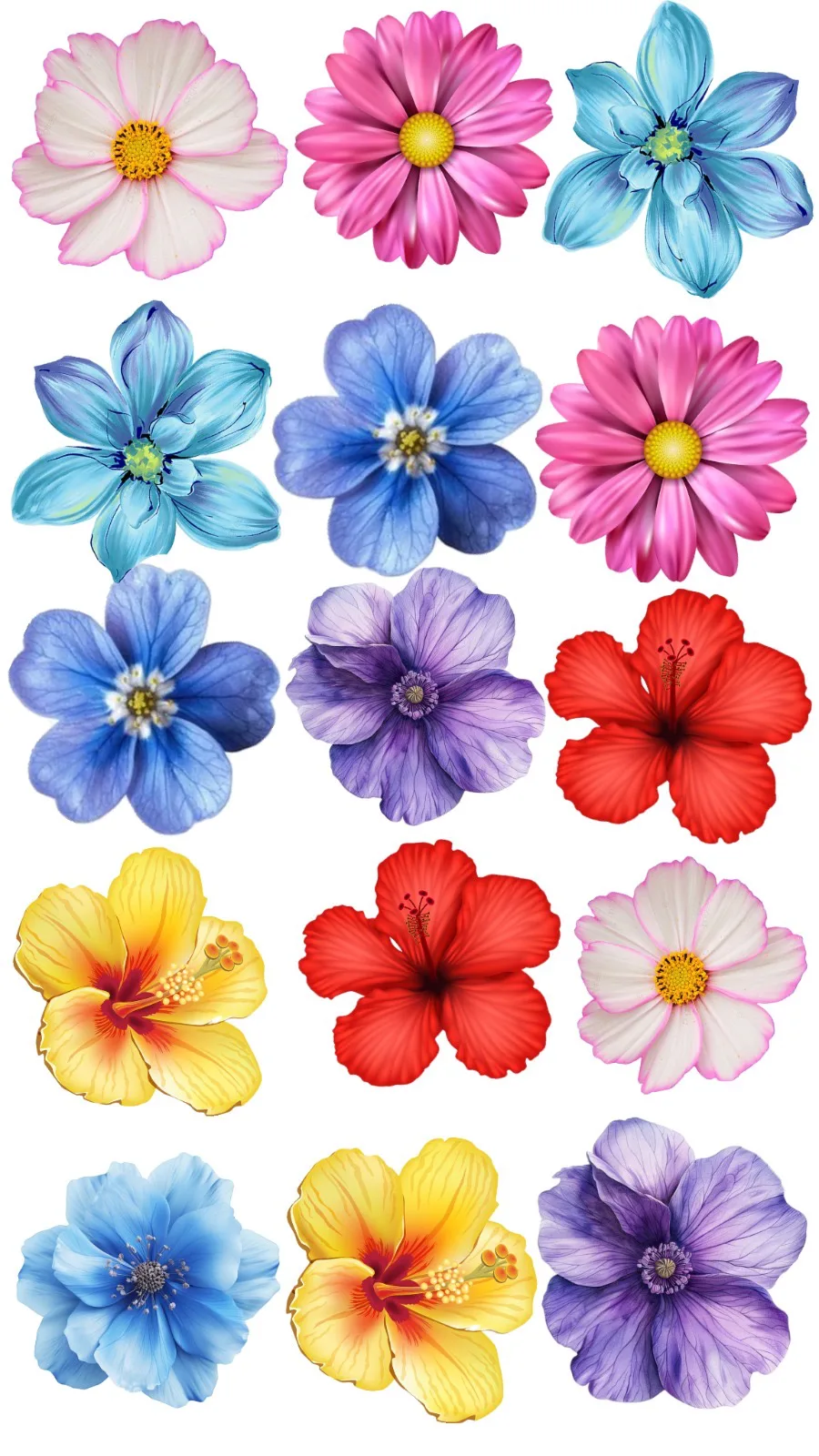 Lot de 20 fleurs comestibles